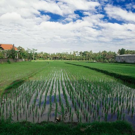 Canang Sari House Ubud Buitenkant foto