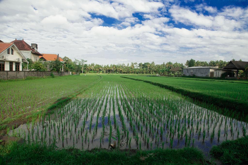 Canang Sari House Ubud Buitenkant foto